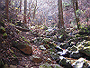 kuratake27_thumb.png