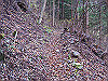 kuratake29_thumb.png