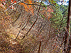 kuratake35_thumb.png