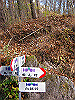 kuratake40_thumb.png