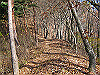 kuratake43_thumb.png