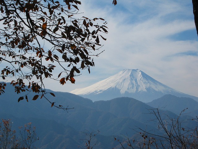 kuratake57.jpg