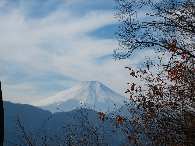 kuratake58.jpg