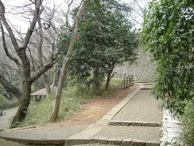 masu20.jpg