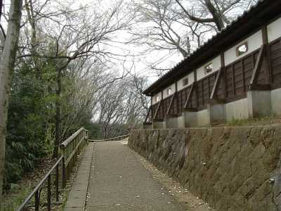 masu21.jpg