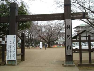 masu22.jpg