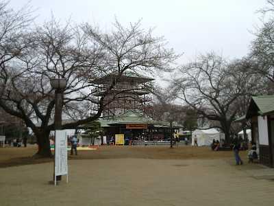 masu23.jpg