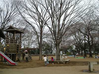 masu25.jpg