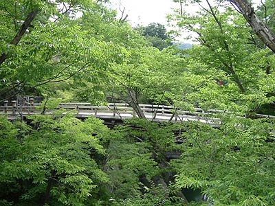 momo09.jpg