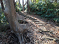 oogusu025_thumb.png