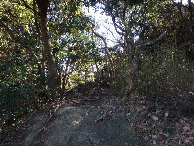 oogusu038.jpg