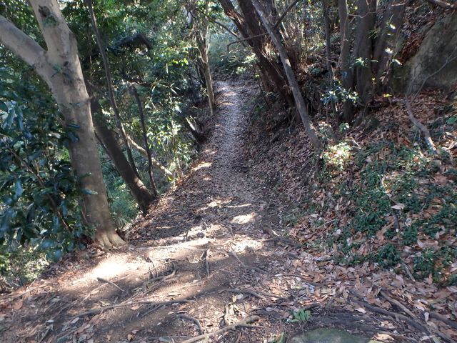 oogusu040.jpg