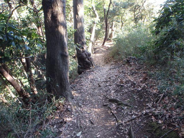 oogusu041.jpg