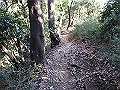 oogusu041_thumb.png
