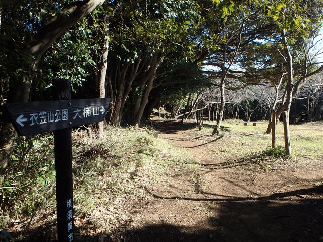 oogusu043.jpg