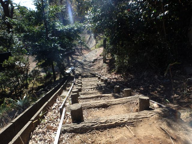 oogusu054.jpg