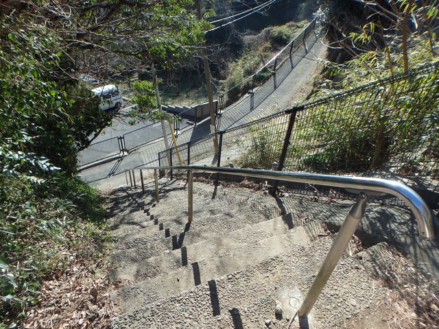 oogusu056.jpg