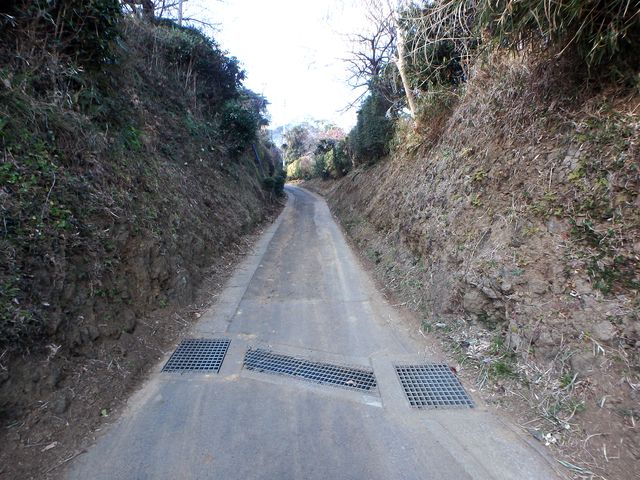 oogusu059.jpg