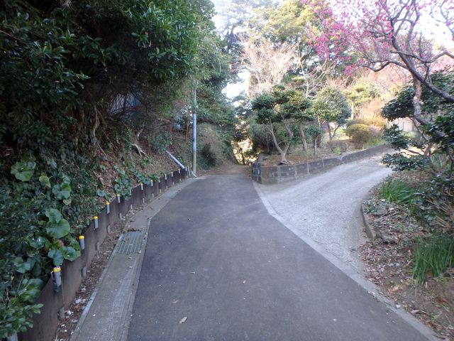 oogusu060.jpg