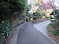 oogusu060_thumb.png