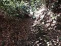 oogusu062_thumb.png