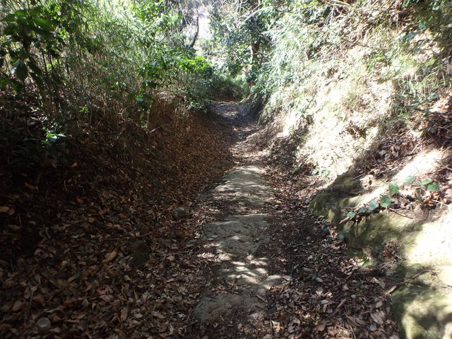 oogusu063.jpg