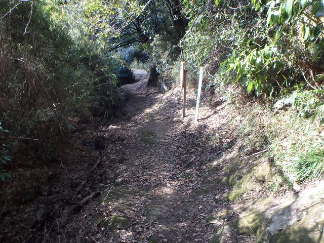 oogusu064.jpg