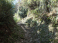 oogusu066_thumb.png