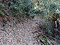 oogusu070_thumb.png