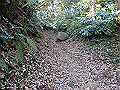 oogusu071_thumb.png