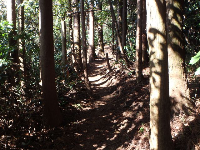 oogusu076.jpg