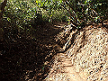 oogusu077_thumb.png
