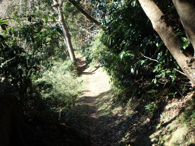 oogusu078.jpg
