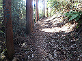 oogusu079_thumb.png
