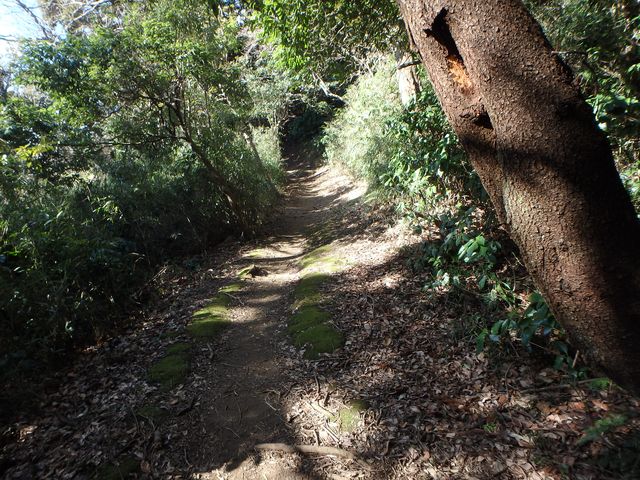 oogusu088.jpg