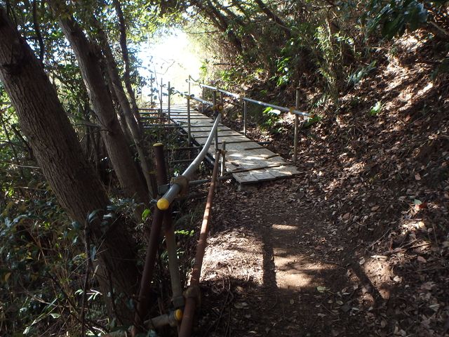 oogusu089.jpg