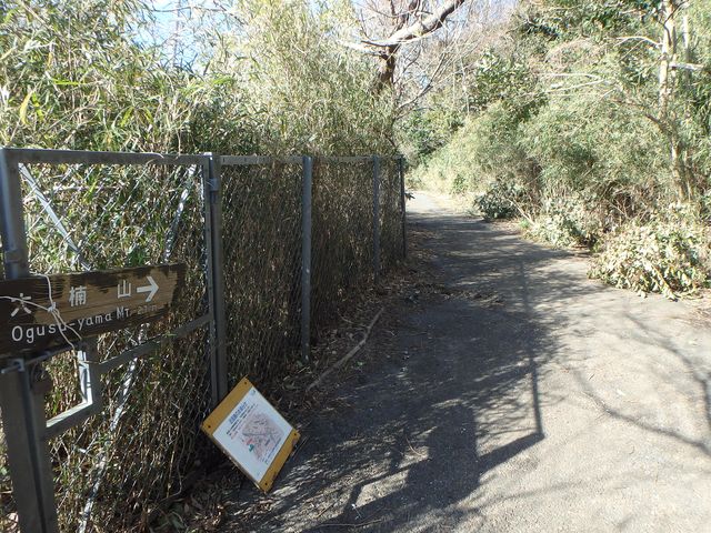 oogusu094.jpg
