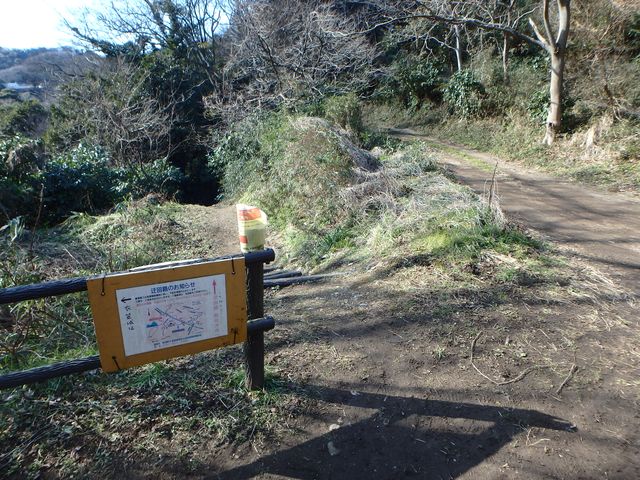 oogusu099.jpg