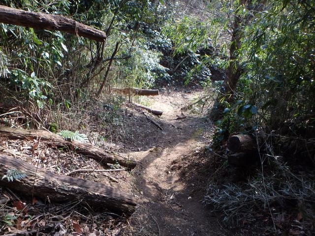 oogusu103.jpg