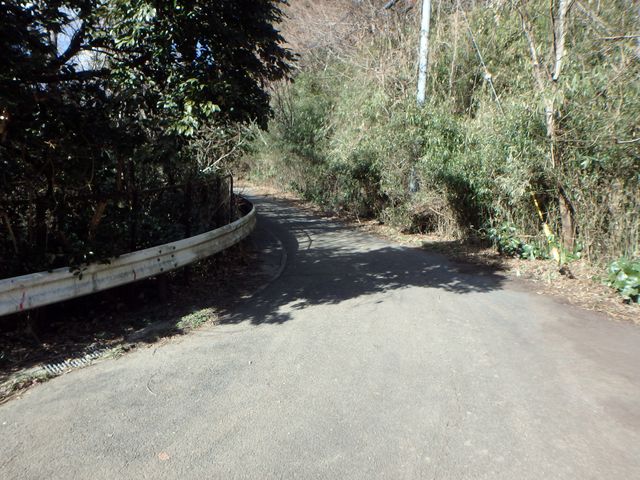 oogusu108.jpg