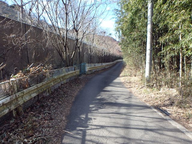 oogusu114.jpg