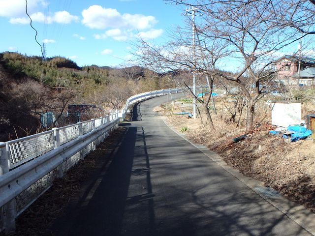 oogusu115.jpg