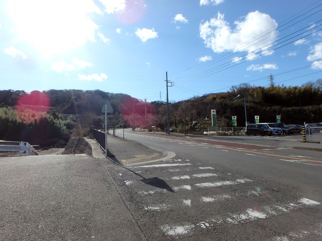 oogusu122.jpg