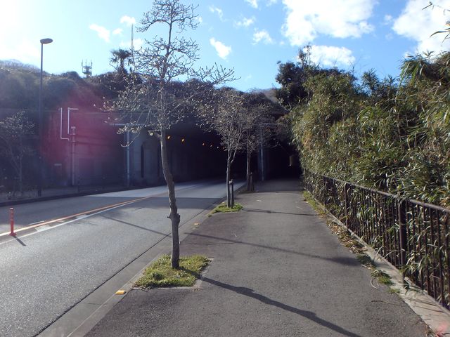 oogusu124.jpg