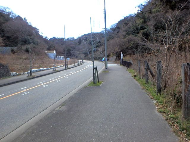 oogusu125.jpg