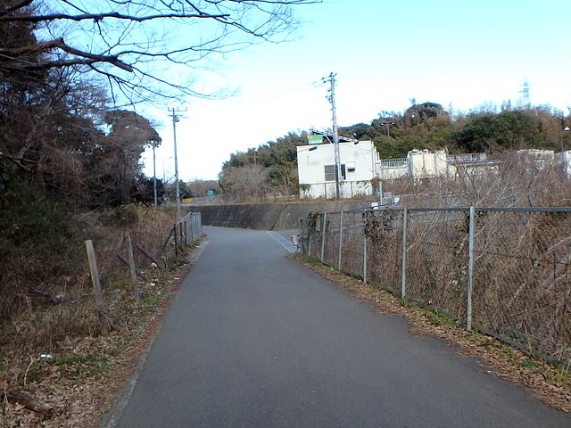 oogusu127.jpg