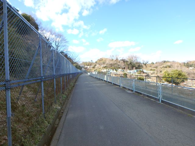 oogusu129.jpg