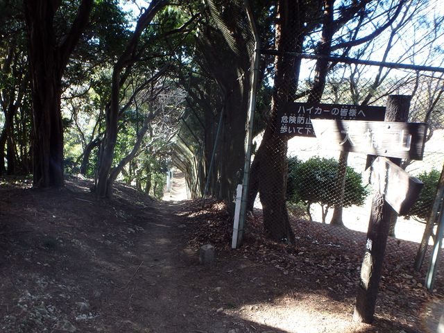 oogusu163.jpg