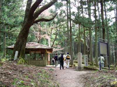 sisun07.jpg