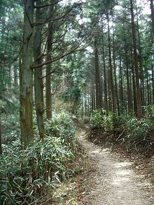 sisun08.jpg